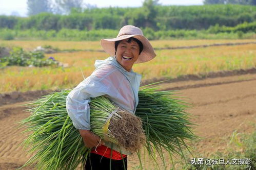 传统文化语境下的“黄道吉日”