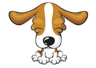 属狗的财运如何，金牛女今年财运好不好？