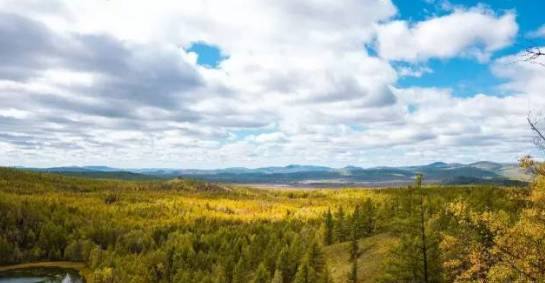 序言: 所谓的自由不过是换个地方受罪