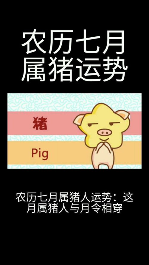 属猪人农历一月运势和属猪阴历六月运势爱情分别是什么？