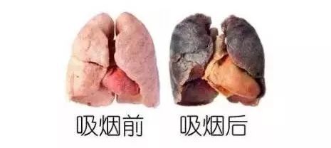 煙鬥與煙霧之生理状况與風水雙沉重效應