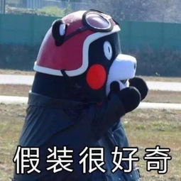 一、 探究背景与问题提出