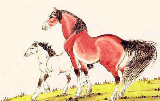 属马生肖，属马女士本命年送什么礼物最合适呢？