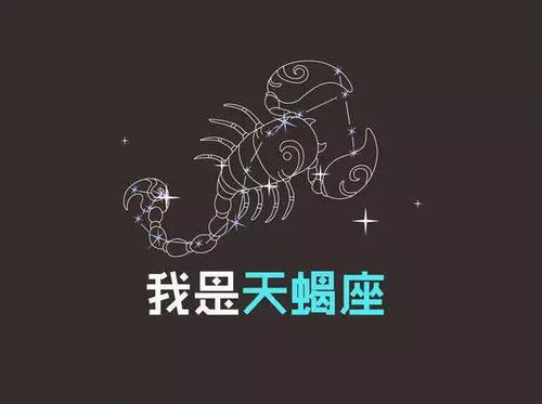 天蝎座属鸡人2026年农历二月运势和2027年运势分别是什么？