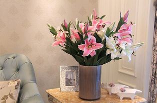 床头放花：失眠到崩溃