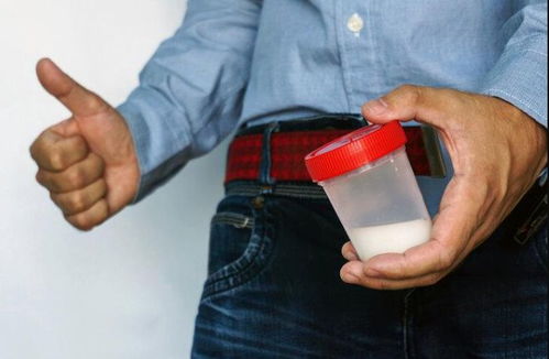 巳蛇：火气内敛与情绪稳态的调控