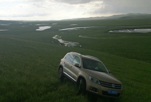 轿车：公路王者的倔强