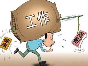 结论与反思
