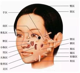 震惊！2026年你的脸将决定命运？皮肤风水学大揭秘