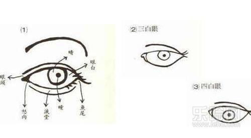 二\三\四\五部分建议整合一起写不然太碎了哦**耳部与腮部:外缘感知弱化下 的 