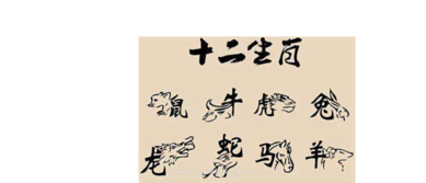 1972年出生的人究竟属哪个生肖呢？