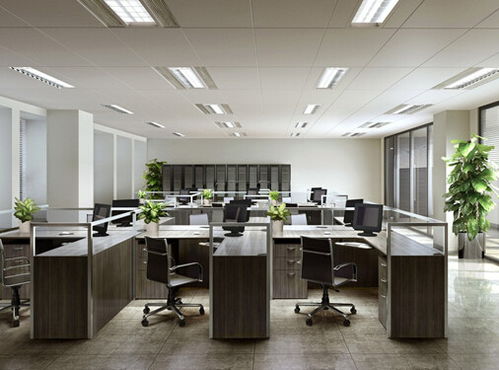 写字楼一楼办公室风水，有哪些最旺风水的办公物品推荐？