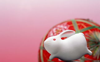 属兔的狮子女的爱情运势如何？她们是否适合成为理想的情人伴侣？