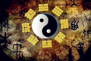 挑战：成长环境的影响与独立性的缺失