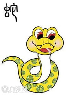 十二生肖运势总排名中，孩子的运势排名是怎样的？