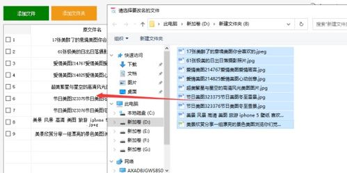 迅速改名改名？别逗我了？