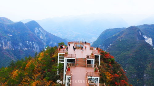 第二站：半山腰的“神仙泉”喝一口拉三天