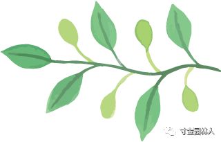 四、 2026年天气预测与养花玄学