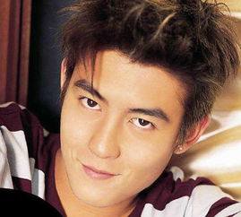 陈冠希八字中桃花星位多吗？八字桃花运势如何？