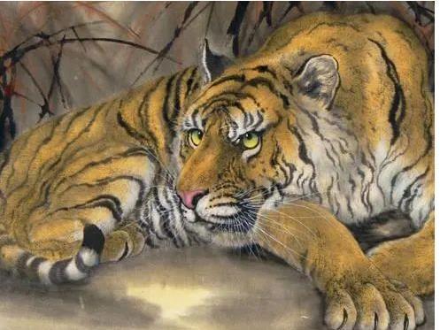 2026年属虎财运如何，有哪些旺财方法？