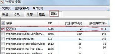 一、 探寻网络足迹：IP地址查询方法的多元化路径