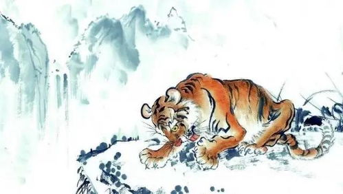 属虎男士:光芒背后隐藏着不懈奋斗本质