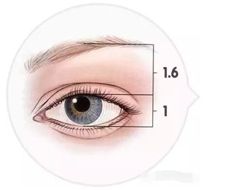 眉眼距离对情绪调节的潜在影响