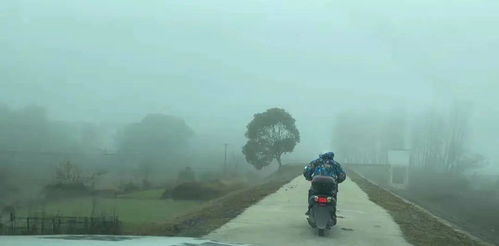 如何通过偷葬风水快速发财？广西南宁未葬风水选址技巧有哪些？