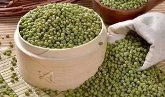 （二）茶饮时间安排对铁吸收之影响