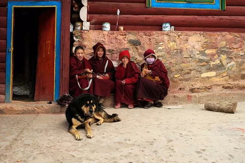 一、 出家之决绝：缘起与解脱的必然选择