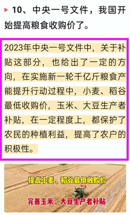 B) 中华十二生肖：狗之归属及其象征意义