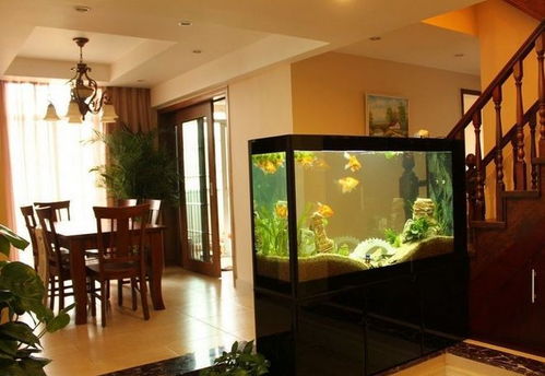 吉凶方位的恐怖禁忌