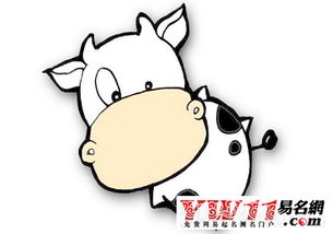 97年属牛的人命运如何，他们的性格特点是什么？