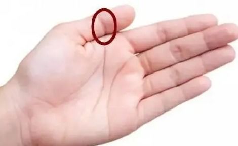 大拇指形态：内向倾向与道法契合