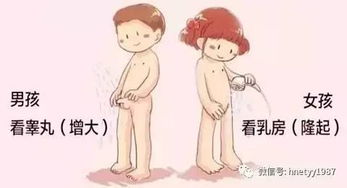 早期发育阶段的相似性与渐进性分化