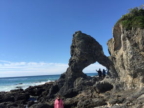 第三天：金平——边境野性与惊喜混杂体检站