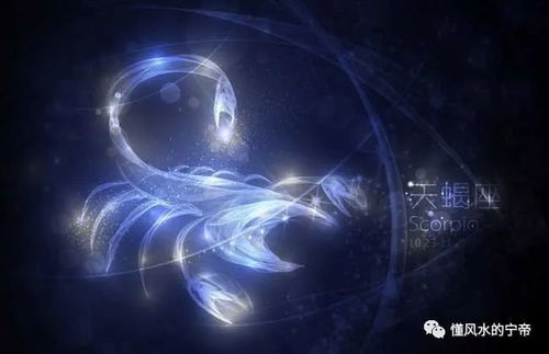 五、 “可怕”属性形成机制及其在人际中的投射