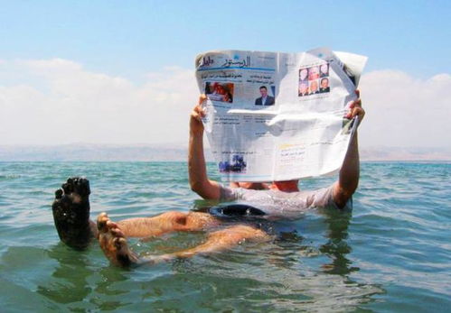 梦见彳艮多人一起在水中嬉戏，这究竟预示着什么含义呢？