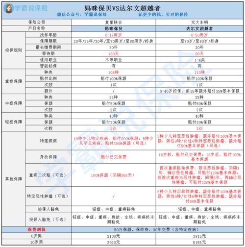 社会背景与市场需求