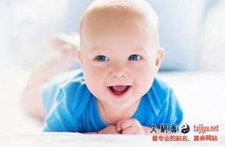 属猪男宝宝取名最吉利的名字有哪些？有没有什么推荐？