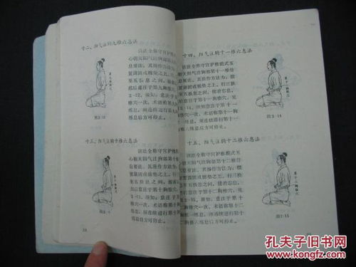 一、 研究背景及总体概述