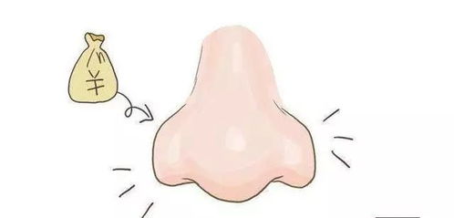 5. 鼻梁直挺与丰满：财富有志向的象征