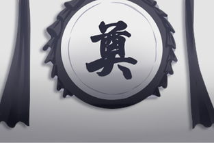 2．星座视角