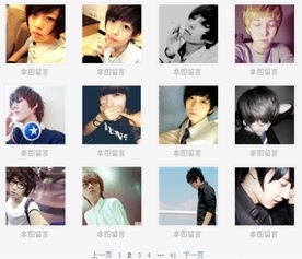 一、 生肖符号学与非主流网名的文化映射