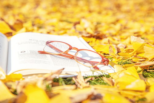 如何从八字中判断另一半年龄大小？