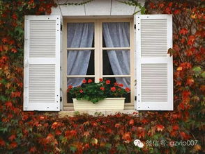 两个窗户大小不一，四面窗户风水有哪些禁忌需要注意？