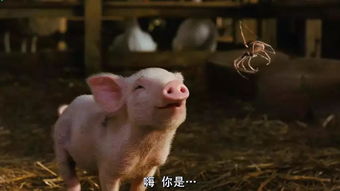 大海水命取名鑫鑫合适吗？83年猪大海水命缺什么可以改名字？