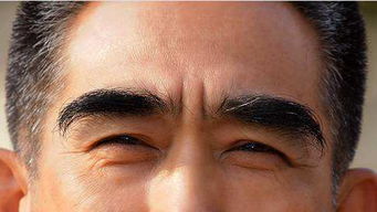 三、 职业发展与事业运势：施行力与责任感的双重奏