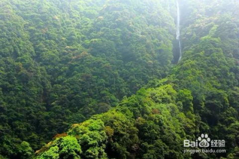 第六站: 宁德白水洋的水真的嫩解暑吗?