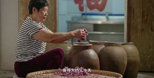 梦境解析与心理状态层面